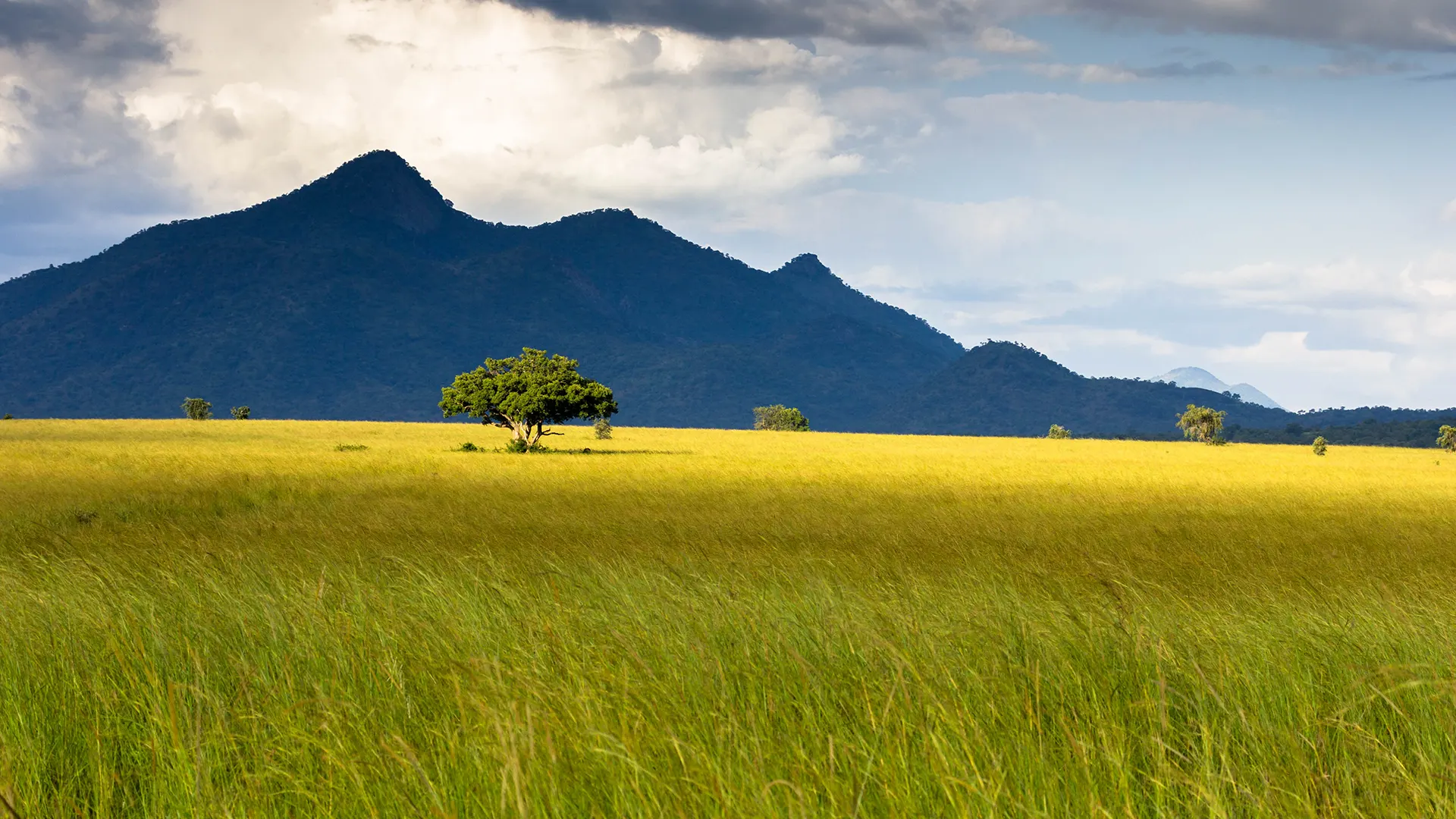 Tanzania safari destination