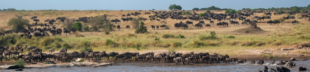 Great Migration