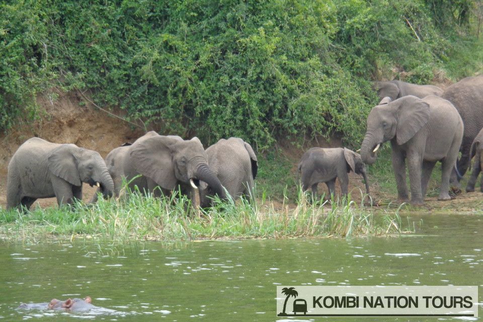 10-Day Tanzania and Uganda Explorer