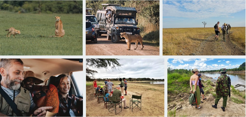 Safari journeys with local guides
